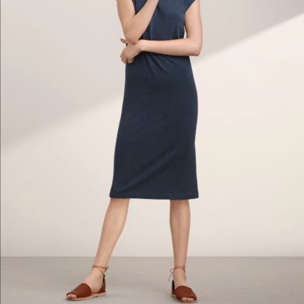 Aritzia community Acadus dress